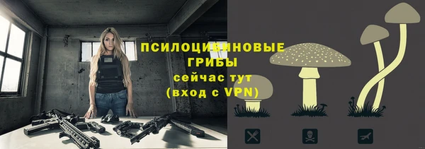 spice Липки