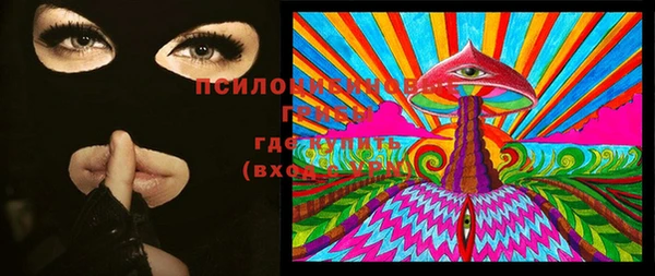 МДПВ Лихославль