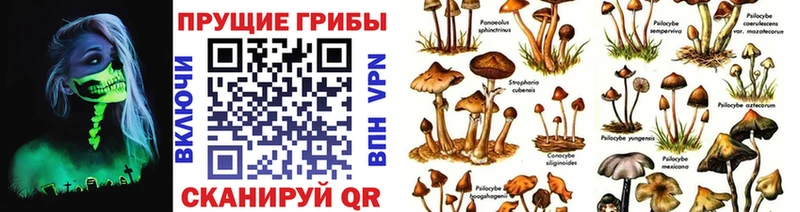 цена наркотик Полтавская ОМГ ОМГ зеркало Псилоцибиновые грибы Cubensis